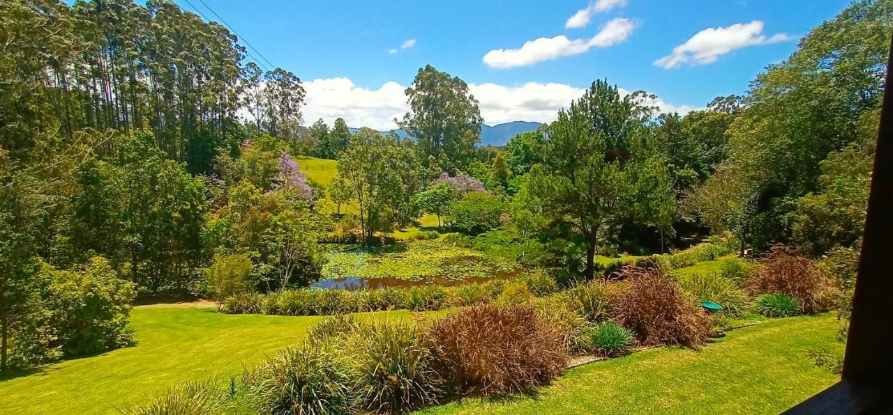 Lilypad Luxury Cabins Bellingen Exterior photo