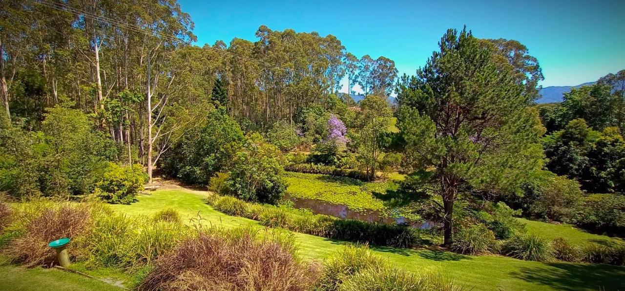 Lilypad Luxury Cabins Bellingen Exterior photo