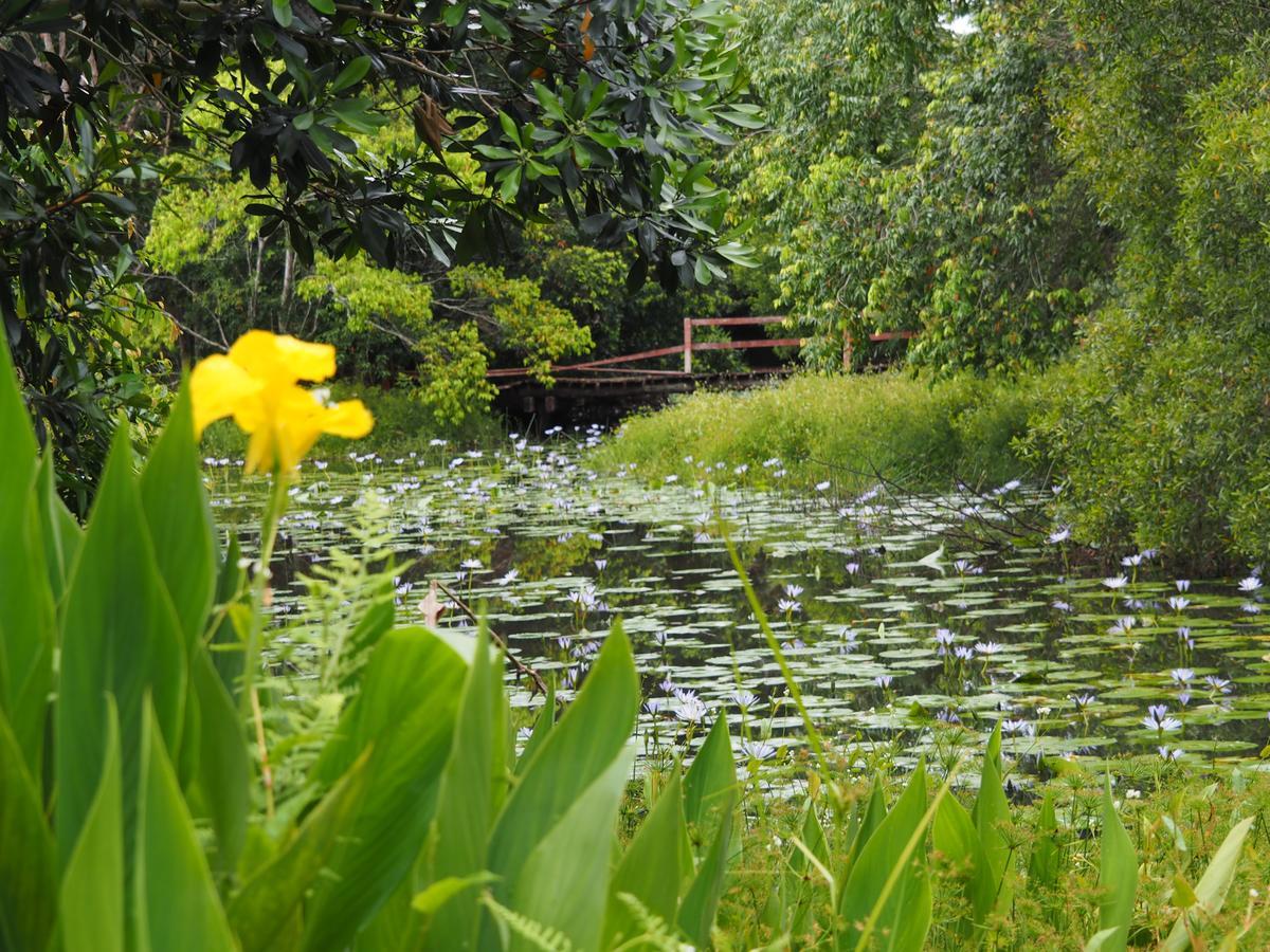 Lilypad Luxury Cabins Bellingen Exterior photo